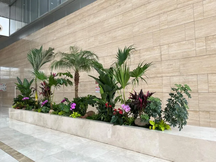 宁波花卉租赁方案大揭秘，给你意想不到的惊喜