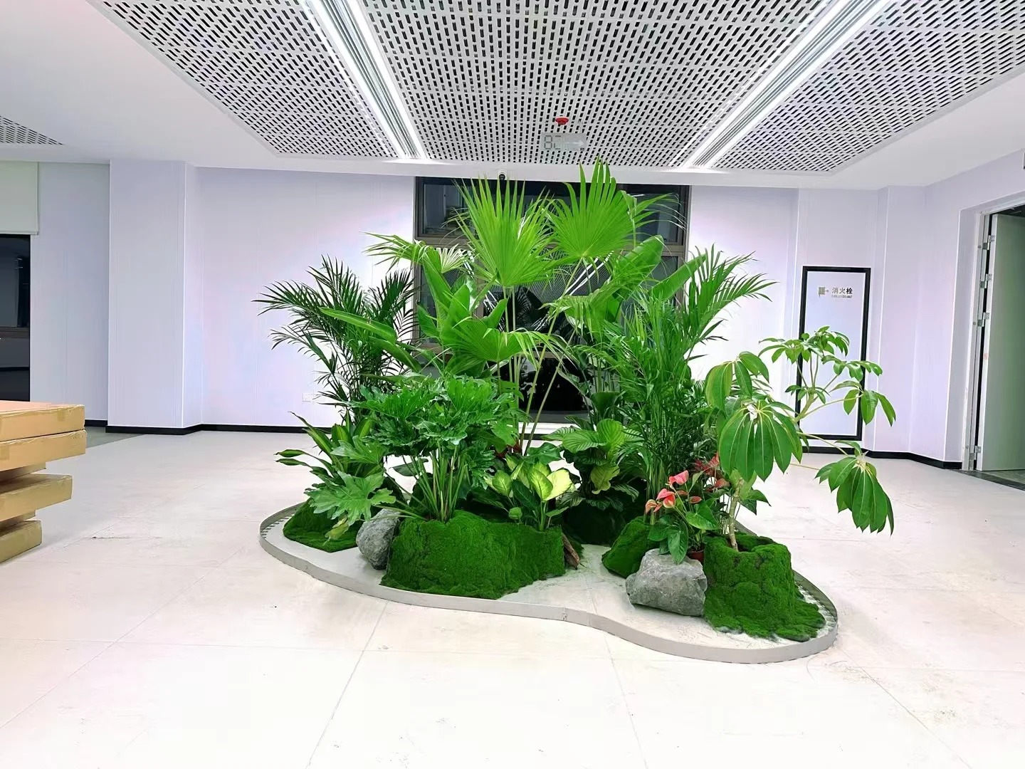 北仑植物租赁专业