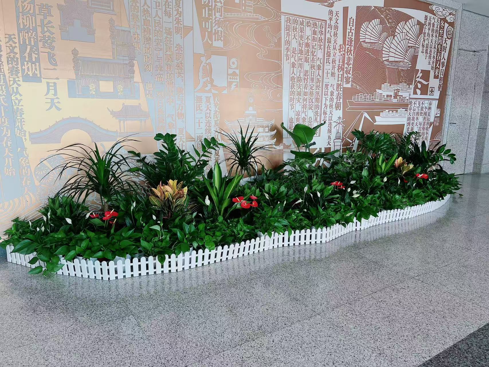 余姚植物出租，服务贴心，绿植焕新你的世界！