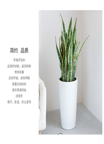 了解北仑绿化养护公司，开启绿色家园守护之旅