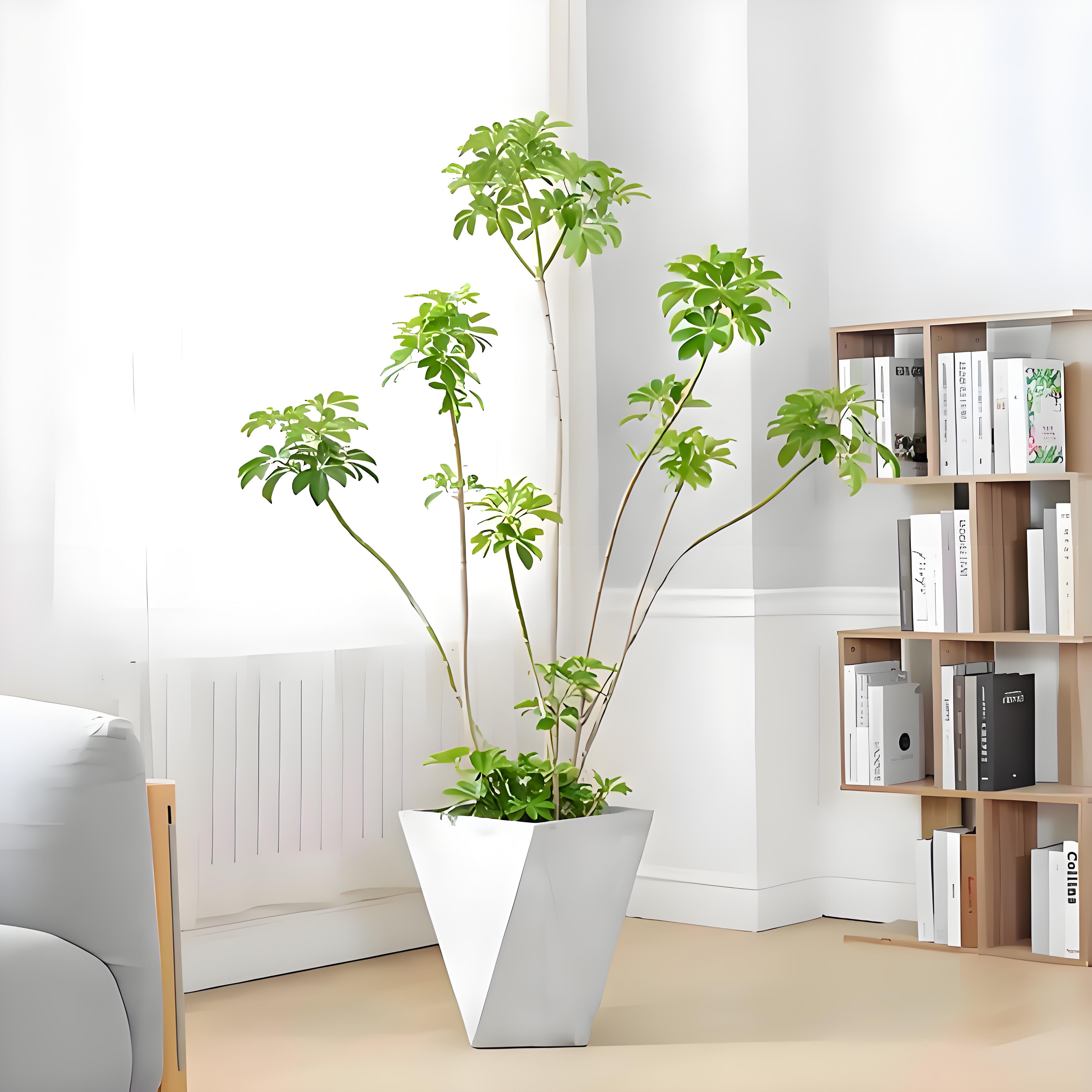 宁波杭州湾花木租摆设计，为您营造梦幻般的环境！